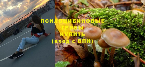 метадон Валдай