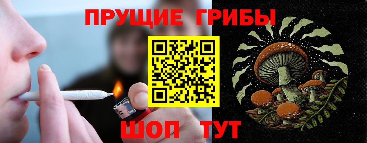 Сарапул  Псилоцибиновые грибы Cubensis  Вход с VPN 